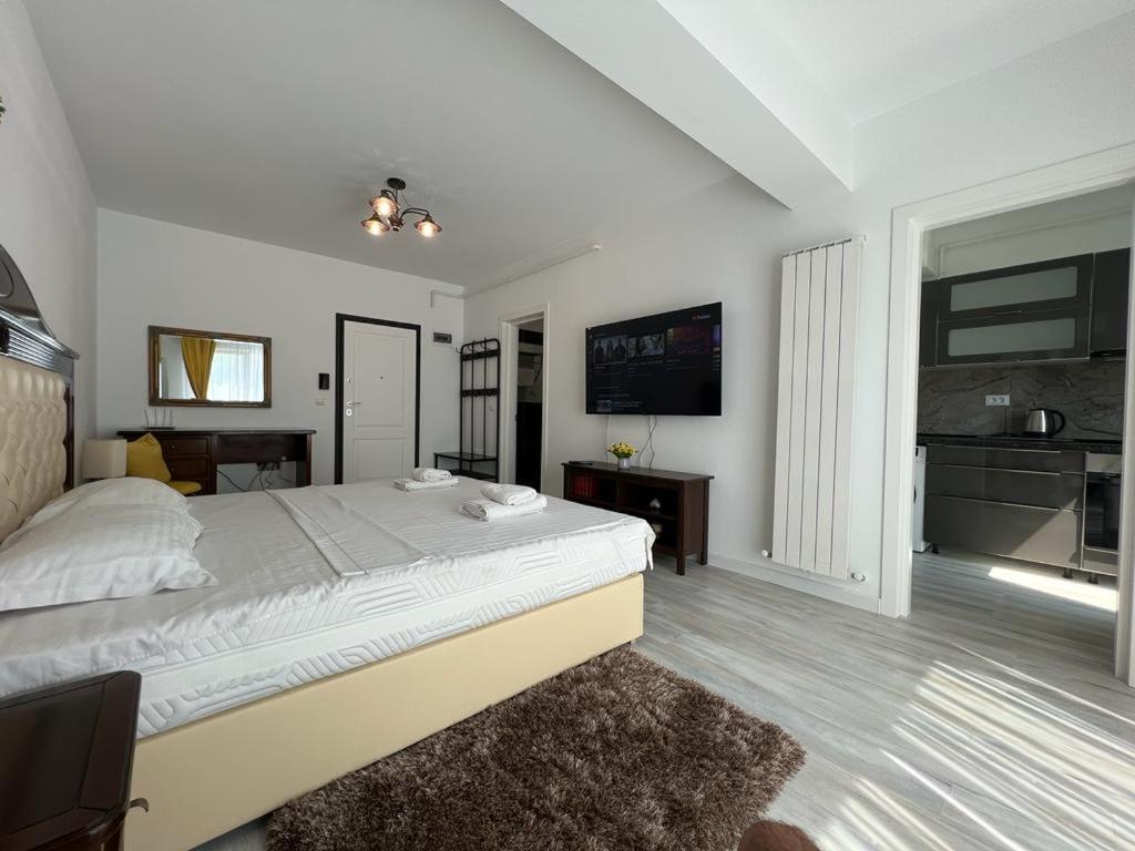 Urban Apartments And Studios - City Center Iasi Exterior photo